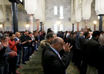 Estudiar Islam contra el radicalismo Estudiar Islam contra el radicalismo