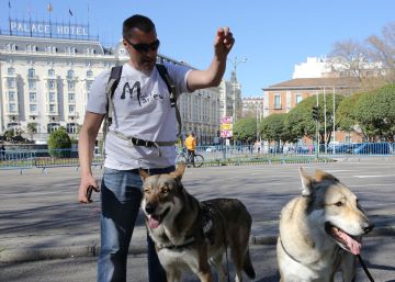 Miles de personas claman en Madrid por la protección del lobo ibérico Miles de personas claman en Madrid por la protección del lobo ibérico