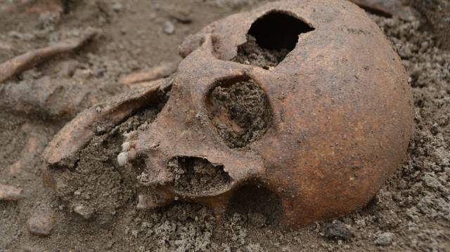 Restos localizados en el arenal. 