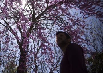 La alergia al polen será menos intensa esta primavera que en 2016