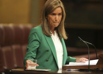 El payaso de las fiestas de los hijos de Ana Mato dice que le pagaron las empresas de Gürtel El payaso de las fiestas de los hijos de Ana Mato dice que le pagaron las empresas de Gürtel