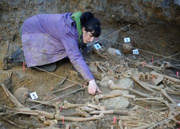 Euskadi hará pruebas de ADN a familiares de desaparecidos en la Guerra Civil