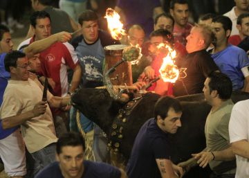El Gobierno justifica con la ‘ley mordaza’ las multas de 6.000 euros a antitaurinos de Castellón