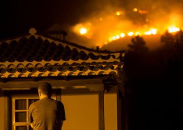 Tres años de cárcel para el joven alemán que incendió La Palma por una negligencia Tres años de cárcel para el joven alemán que incendió La Palma por una negligencia