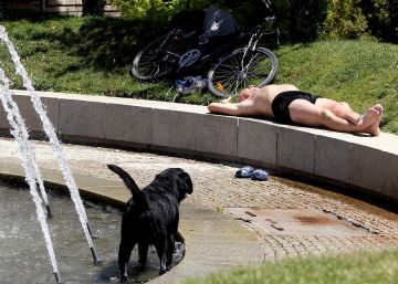 El calor es más devastador que los huracanes El calor es más devastador que los huracanes