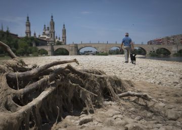 La tormenta (seca) perfecta: calor, sequía y fuego La tormenta (seca) perfecta: calor, sequía y fuego