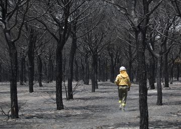 Penas de hasta 20 años de cárcel por provocar un incendio forestal Penas de hasta 20 años de cárcel por provocar un incendio forestal