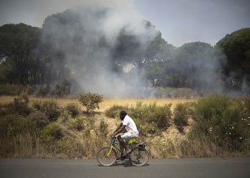 “No existe base para relacionar el fuego de Doñana con una recalificación” “No existe base para relacionar el fuego de Doñana con una recalificación”