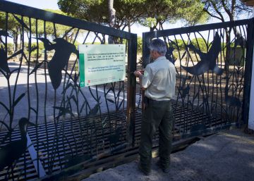 Los 14 linces que acabaron en una comisaría para escapar del incendio Los 14 linces que acabaron en una comisaría para escapar del incendio