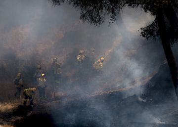 Los bomberos confinan el fuego de Doñana tras amainar el viento Los bomberos confinan el fuego de Doñana tras amainar el viento