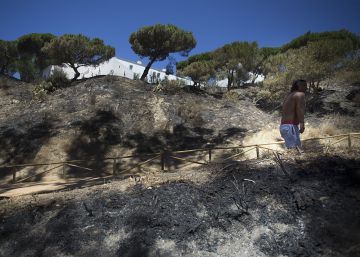 Los bomberos dan por estabilizado el incendio de Doñana Los bomberos dan por estabilizado el incendio de Doñana