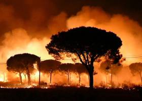 El corazón del fuego