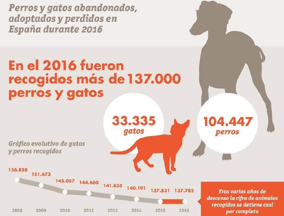 Casi 138.000 perros y gatos, abandonados en España en 2016