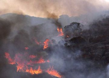 Evacuadas un millar de personas por un incendio en Ciudad Real Evacuadas un millar de personas por un incendio en Ciudad Real