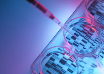 El Supremo declara la paternidad de un hombre que se negó a hacerse la prueba de ADN El Supremo declara la paternidad de un hombre que se negó a hacerse la prueba de ADN