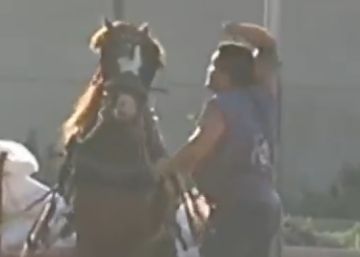 La violencia contra los caballos en un deporte valenciano indigna a los animalistas
