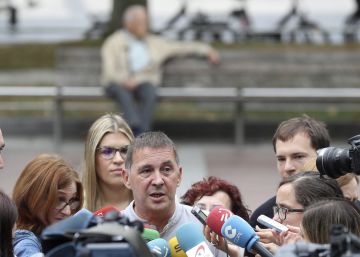 Otegi rebutja la violència per protestar contra el model turístic