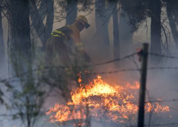 Un incendio acecha el Parque Regional de Gredos, en Ávila Un incendio acecha el Parque Regional de Gredos, en Ávila