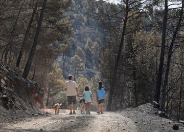 ‘Pastorear’ los incendios forestales ‘Pastorear’ los incendios forestales