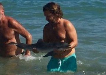 Muere una cría de delfín tras ser acosada por los bañistas en una playa de Almería Muere una cría de delfín tras ser acosada por los bañistas en una playa de Almería