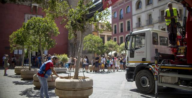Operarios del Ayuntamiento de Sevilla colocan grandes maceteros en las zonas turísticas de la ciudad.