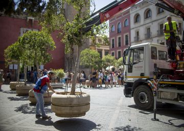 Operarios del Ayuntamiento de Sevilla colocan grandes maceteros en las zonas turísticas de la ciudad.