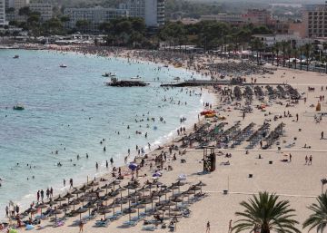 La Policía Nacional identifica a 800 turistas británicos por falsas intoxicaciones La Policía Nacional identifica a 800 turistas británicos por falsas intoxicaciones