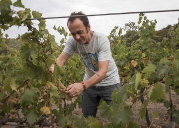 Francesco Arcuri: “La custòdia compartida ha de ser a Itàlia, on viuen els nens”