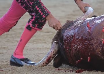 El PACMA se pone torero