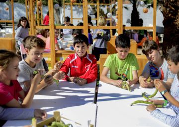 La Comunidad Valenciana busca salvar el plan lingüístico que paró la justicia La Comunidad Valenciana busca salvar el plan lingüístico que paró la justicia