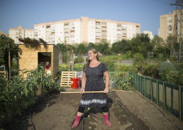 El huerto urbano de Sevilla que asombra al mundo El huerto urbano de Sevilla que asombra al mundo