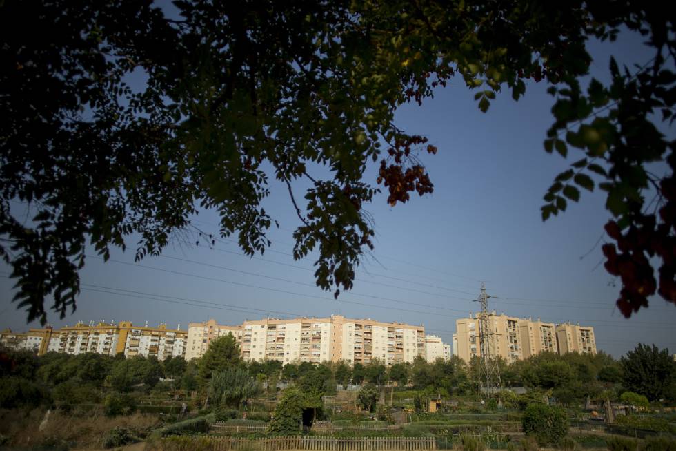 Vista general del las viviendas de Miraflores y sus huertos urbanos en Sevilla.