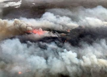 El Cabildo afirma que el incendio de Gran Canaria fue provocado El Cabildo afirma que el incendio de Gran Canaria fue provocado
