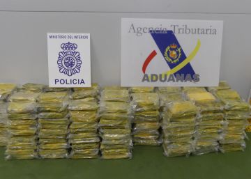 Incautados 290 kilos de cocaína ocultos en un contenedor de naranjas en Algeciras Incautados 290 kilos de cocaína ocultos en un contenedor de naranjas en Algeciras