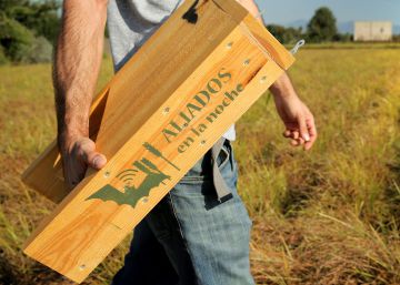 Murciélagos para combatir las plagas del arroz y la chufa Murciélagos para combatir las plagas del arroz y la chufa