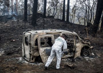 “Mi perra me salvó la vida” “Mi perra me salvó la vida”