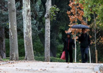 Ahora sí, hoy empieza el otoño