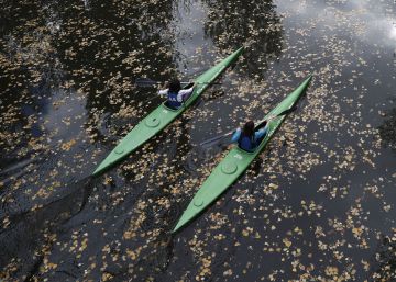 Dónde está el frío otoñal (y, sobre todo, la lluvia)