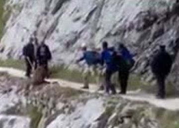Un vídeo muestra a unos senderistas despeñando a un jabalí en la Ruta del Cares
