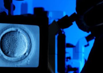Navarra pagará los tratamientos de fertilidad a mujeres solas y lesbianas