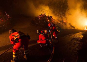 La UE dona el premio Princesa de Asturias a los afectados por los incendios