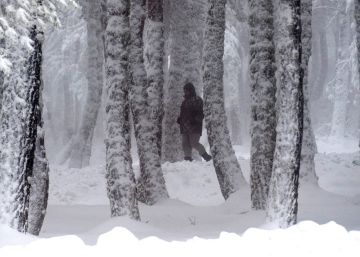 Un invierno cálido sucederá al otoño más seco del siglo XXI