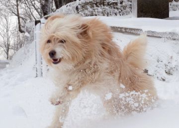 Y este fin de semana, más nieve