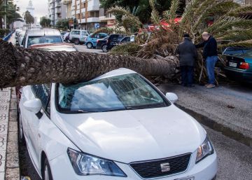 Dos heridas, muros caídos y coches aplastados por palmeras en Málaga