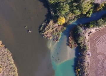 Investigado un catedrático en Cádiz por desviar fondos para investigación