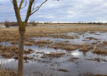 El temporal supone un aumento del 0,2% del agua de los embalses