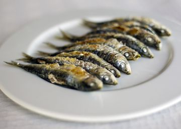 El Senado se vuelca con el espeto de sardinas