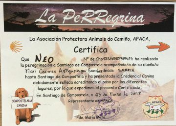 ‘Neo’, el primer ‘perregrino’ a Santiago