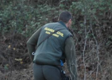 Detenido un hombre por maltratar y mantener relaciones sexuales con dos yeguas en Mallorca