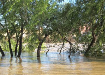 El Ebro vuelve a su cauce, según la Confederación Hidrográfica